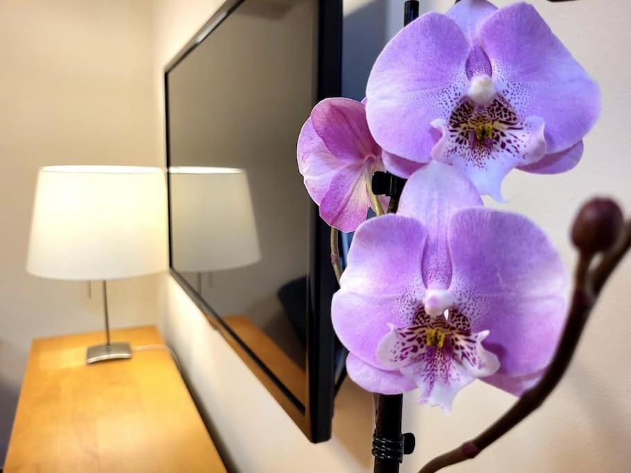 Flamenco, Apartamento Exclusivo De Dos Habitaciones En El Pleno Del Casco Antiguo, Alicante, Playa, Centro Historico, Rambla מראה חיצוני תמונה